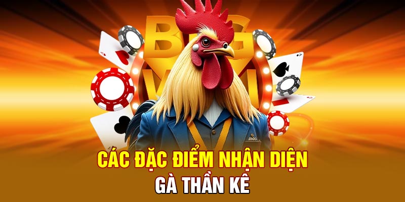 Các đặc điểm nhận diện gà thần kê