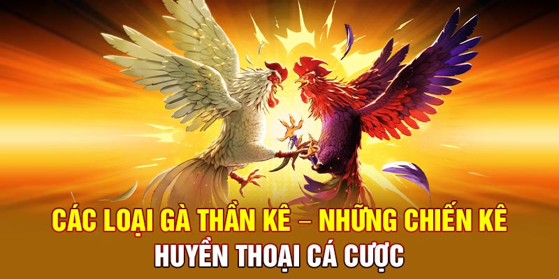 các loại gà thần kê