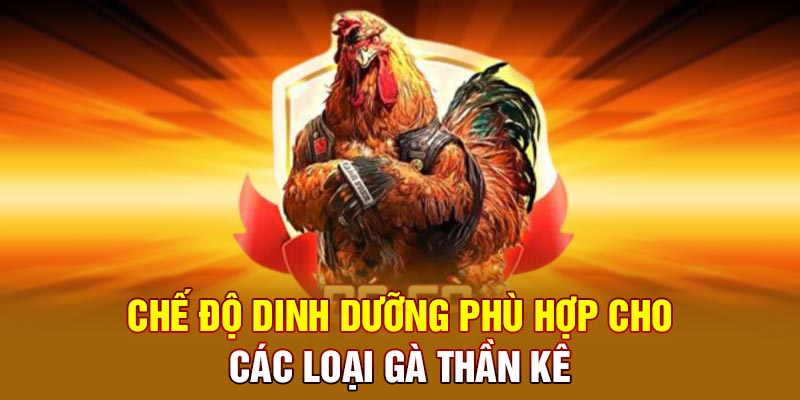 Chế độ dinh dưỡng phù hợp cho các loại gà thần kê