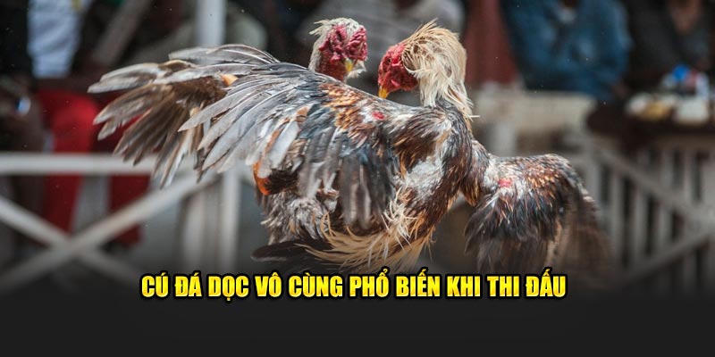 Cú đá dọc vô cùng phổ biến khi thi đấu