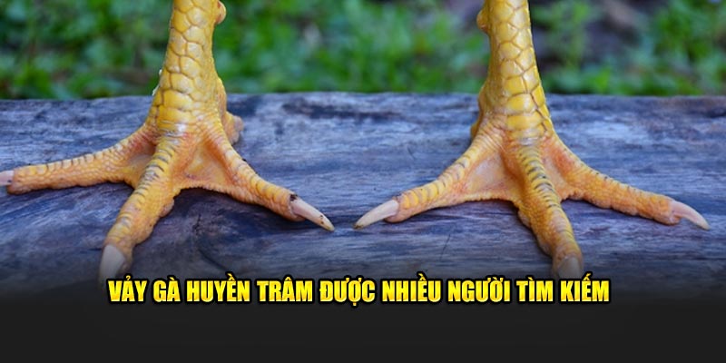 Vảy gà huyền trâm được nhiều người tìm kiếm